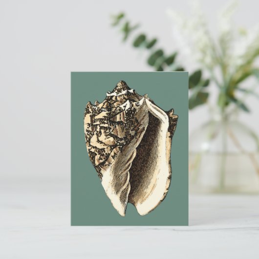 Blauwgroen Conch Shell Briefkaart (Staand voorkant)