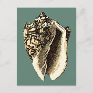 Blauwgroen Conch Shell Briefkaart