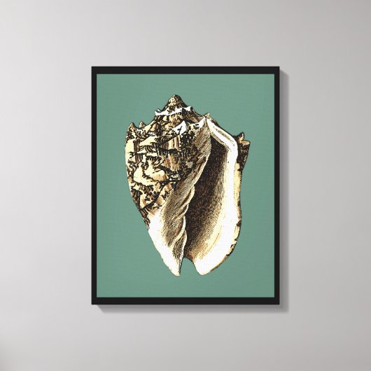 Blauwgroen Conch Shell Canvas Afdruk (Voorkant)