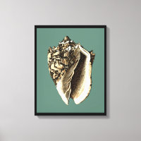 Blauwgroen Conch Shell