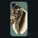 Blauwgroen Conch Shell Case-Mate iPhone Case<br><div class="desc">In deze mooie,  klassieke zwarte en witte kegel zie je de schaduw van een natuurlijke naai heel scherp en helder. Je kunt jezelf afbeeldingen op het strand op schelpen of in het zand spelen. Profiteer vandaag nog van deze blauwgroen,  stijlvolle,  stijlvolle,  compacte vormgeving op uw favoriete producten!</div>