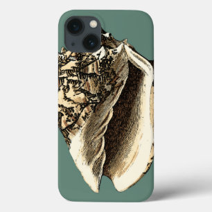 Blauwgroen Conch Shell Case-Mate iPhone Case