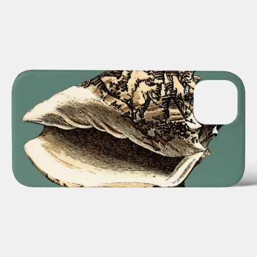 Blauwgroen Conch Shell Case-Mate iPhone Case (Achterkant (horizontaal))