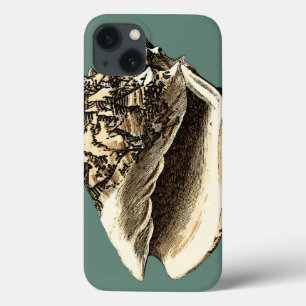 Blauwgroen Conch Shell Case-Mate iPhone Case