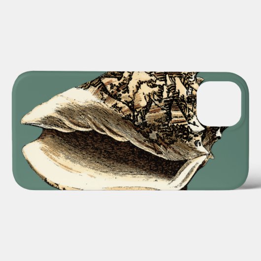 Blauwgroen Conch Shell Case-Mate iPhone Case (Achterkant (horizontaal))