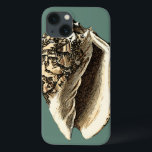 Blauwgroen Conch Shell Case-Mate iPhone Case<br><div class="desc">In deze mooie, klassieke zwarte en witte kegel zie je de schaduw van een natuurlijke naaf heel scherp en helder. Je kunt jezelf afbeeldingen op het strand op schelpen jagen of in het zand spelen. Haal vandaag nog deze stoute, blauwgroen gestileerde schraapplaat op je favoriete producten!</div>