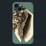 Blauwgroen Conch Shell Case-Mate iPhone Case<br><div class="desc">In deze mooie,  klassieke zwarte en witte kegel zie je de schaduw van een natuurlijke naaf heel scherp en helder.  Je kunt jezelf afbeeldingen op het strand op schelpen jagen of in het zand spelen. Haal vandaag nog deze stoute,  blauwgroen gestileerde schraapplaat op je favoriete producten!</div>