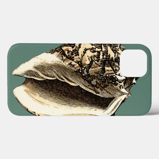 Blauwgroen Conch Shell Case-Mate iPhone Case (Achterkant (horizontaal))