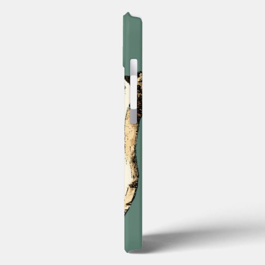 Blauwgroen Conch Shell Case-Mate iPhone Case (Achterkant / Links)