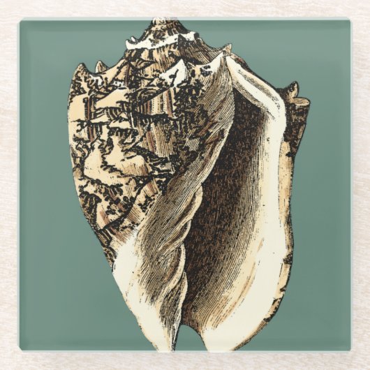 Blauwgroen Conch Shell Glazen Onderzetter (Voorkant)