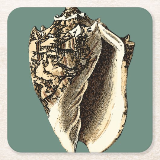 Blauwgroen Conch Shell Kartonnen Onderzetters (Voorkant)