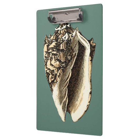 Blauwgroen Conch Shell Klembord (Links)