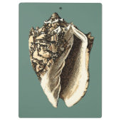 Blauwgroen Conch Shell Klembord (Achterkant)