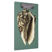 Blauwgroen Conch Shell Klembord (Rechts)