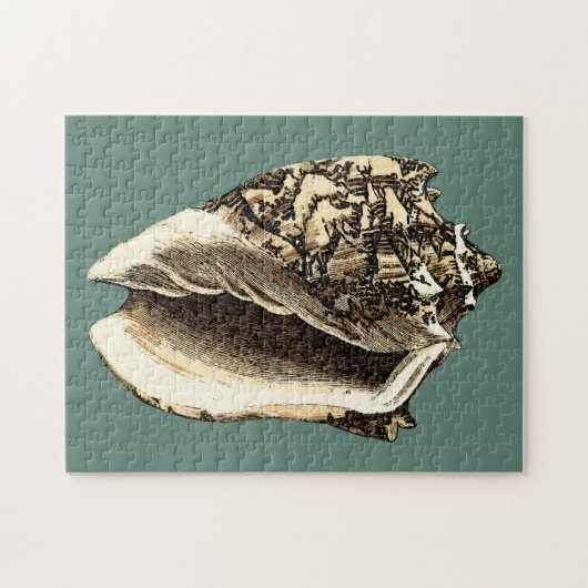 Blauwgroen Conch Shell Legpuzzel (Horizontaal)
