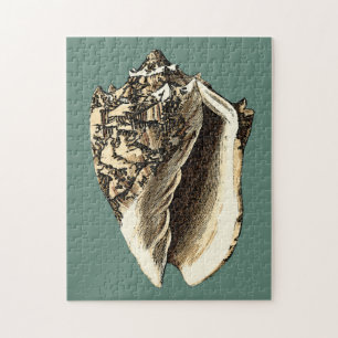 Blauwgroen Conch Shell Legpuzzel