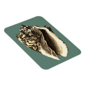 Blauwgroen Conch Shell Magneet (Rechterzijde)
