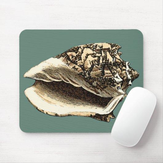 Blauwgroen Conch Shell Muismat (Met muis)