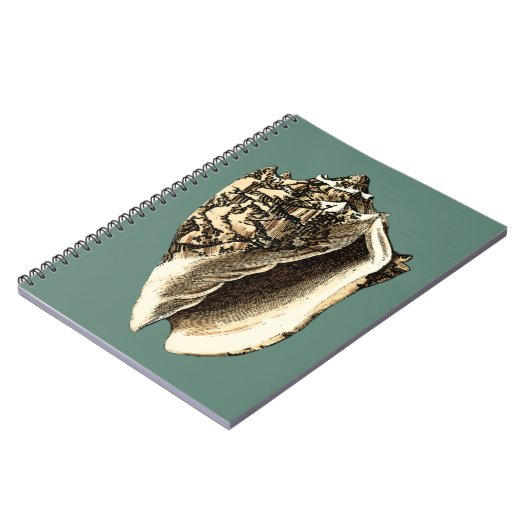 Blauwgroen Conch Shell Notitieboek (Linkerzijde)