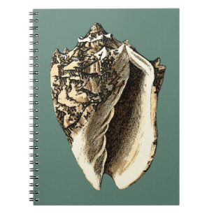 Blauwgroen Conch Shell Notitieboek