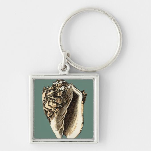 Blauwgroen Conch Shell Sleutelhanger (Voorkant)