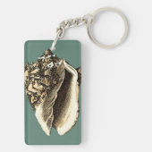 Blauwgroen Conch Shell Sleutelhanger (achterkant)