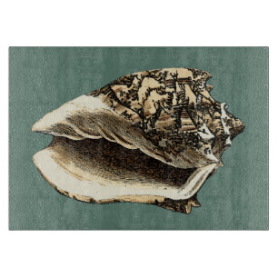Blauwgroen Conch Shell Snijplank