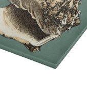 Blauwgroen Conch Shell Snijplank (Hoek)