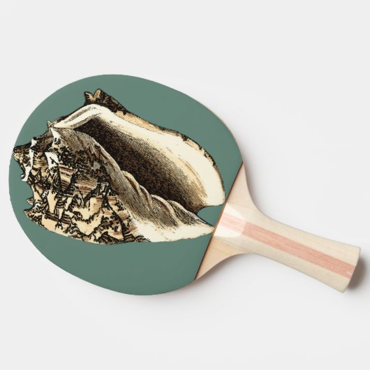 Blauwgroen Conch Shell Tafeltennisbatje (Zijkant)