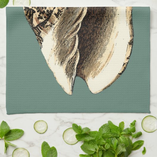 Blauwgroen Conch Shell Theedoek (Gevouwen)