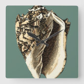 Blauwgroen Conch Shell Vierkante Klok (Voorkant)