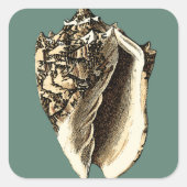 Blauwgroen Conch Shell Vierkante Sticker (Voorkant)
