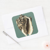 Blauwgroen Conch Shell Vierkante Sticker (Envelop)