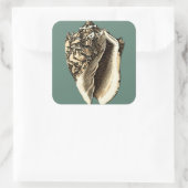 Blauwgroen Conch Shell Vierkante Sticker (Tas)