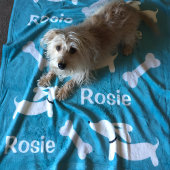Blauwgroen Dachshund Custom Deken voor Wiener Dogs