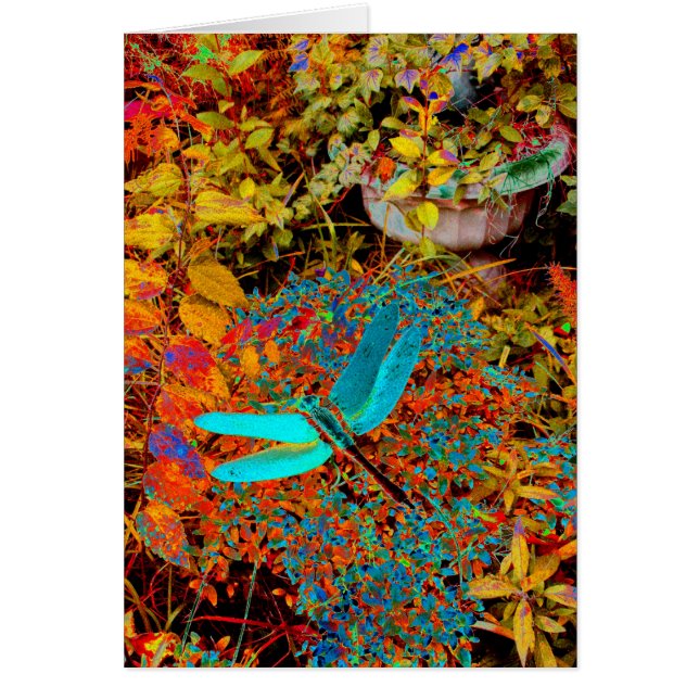 Blauwgroen dragonvlieg (Voorkant)