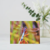 Blauwgroen dragonvlieg op rand briefkaart (Staand voorkant)