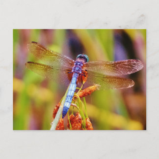 Blauwgroen dragonvlieg op rand briefkaart