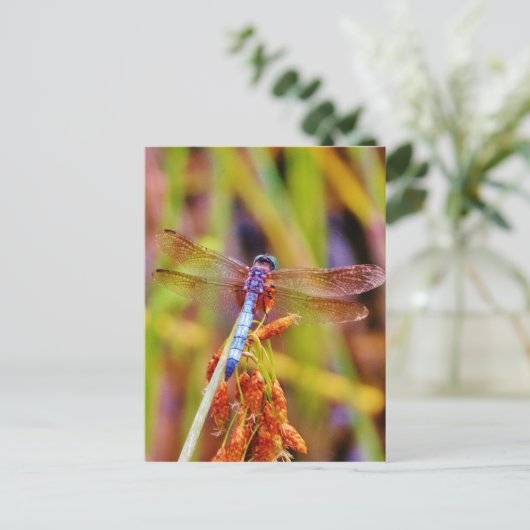 Blauwgroen dragonvlieg op rand briefkaart (Staand voorkant)