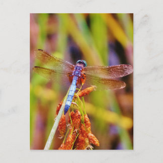 Blauwgroen dragonvlieg op rand briefkaart