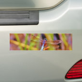 Blauwgroen dragonvlieg op rand bumpersticker (Op auto)