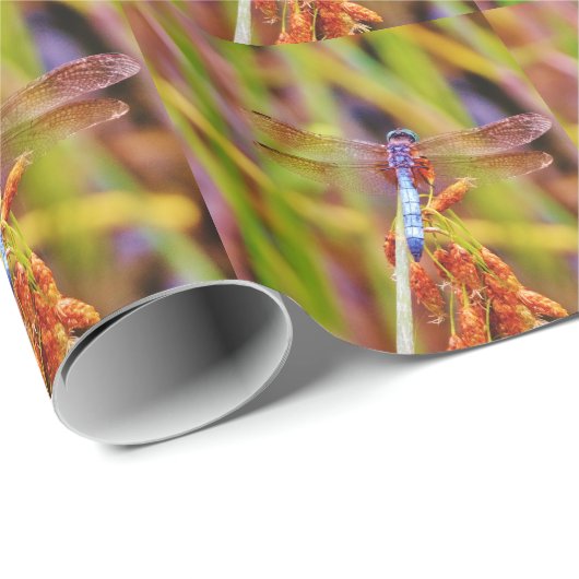 Blauwgroen dragonvlieg op rand cadeaupapier (Rol Hoek)