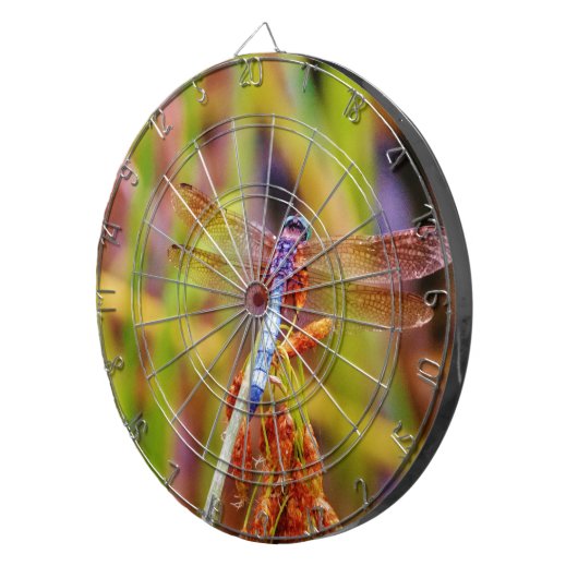 Blauwgroen dragonvlieg op rand dartbord (Voorkant Rechts)