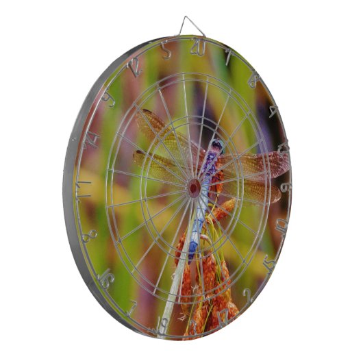 Blauwgroen dragonvlieg op rand dartbord (Voorkant Links)