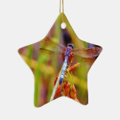 Blauwgroen dragonvlieg op rand keramisch ornament (Rechts)