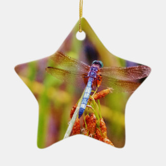 Blauwgroen dragonvlieg op rand keramisch ornament