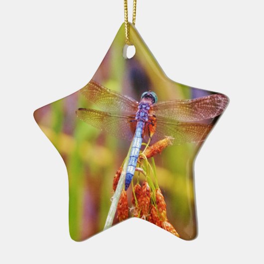 Blauwgroen dragonvlieg op rand keramisch ornament (Links)