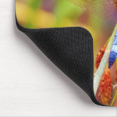 Blauwgroen dragonvlieg op rand muismat (Hoek)