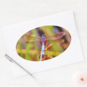 Blauwgroen dragonvlieg op rand ovale sticker (Envelop)