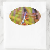 Blauwgroen dragonvlieg op rand ovale sticker (Tas)